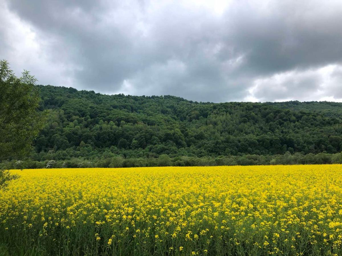 Апартаменти Олівія Skhidnytsia 외부 사진
