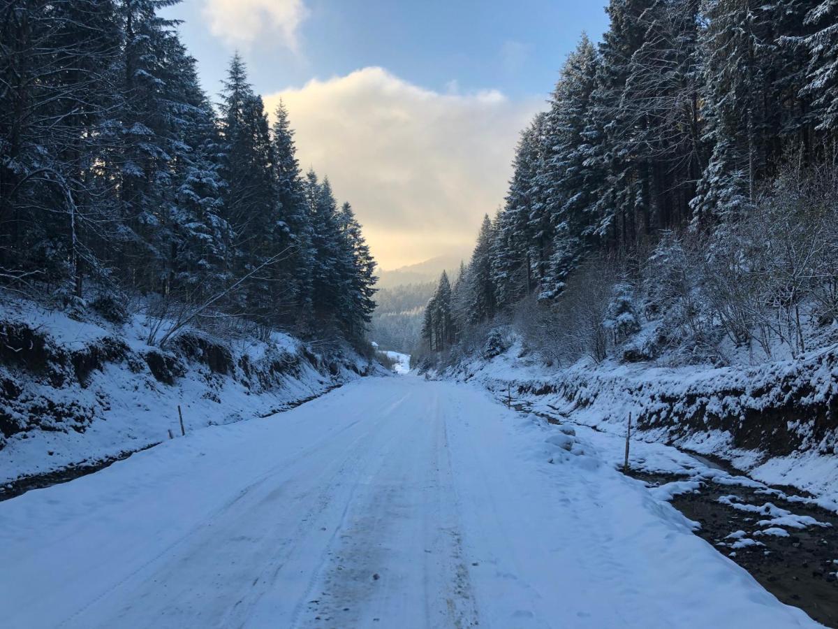 Апартаменти Олівія Skhidnytsia 외부 사진